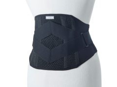 しっかりガード 腰 スタンダードプラス